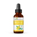 Estratto di foglie di Mullein di Bontà Erborisdizionale - Goccia di Mullein per i polmoni Detox, Expectorant Herbal e Antiossidanti Proprietà per la salute respiratoria e digestiva - Tintura di Mullein 1oz