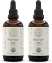 HerbEra Wild Yam B120 (2pcs) Alcohol-Free USDA Organic Herbal Extract Tincture, Concentrated Liquid Drops Natural Wild Yam (Dioscorea Villosa) Dried Root (2x4 fl oz)