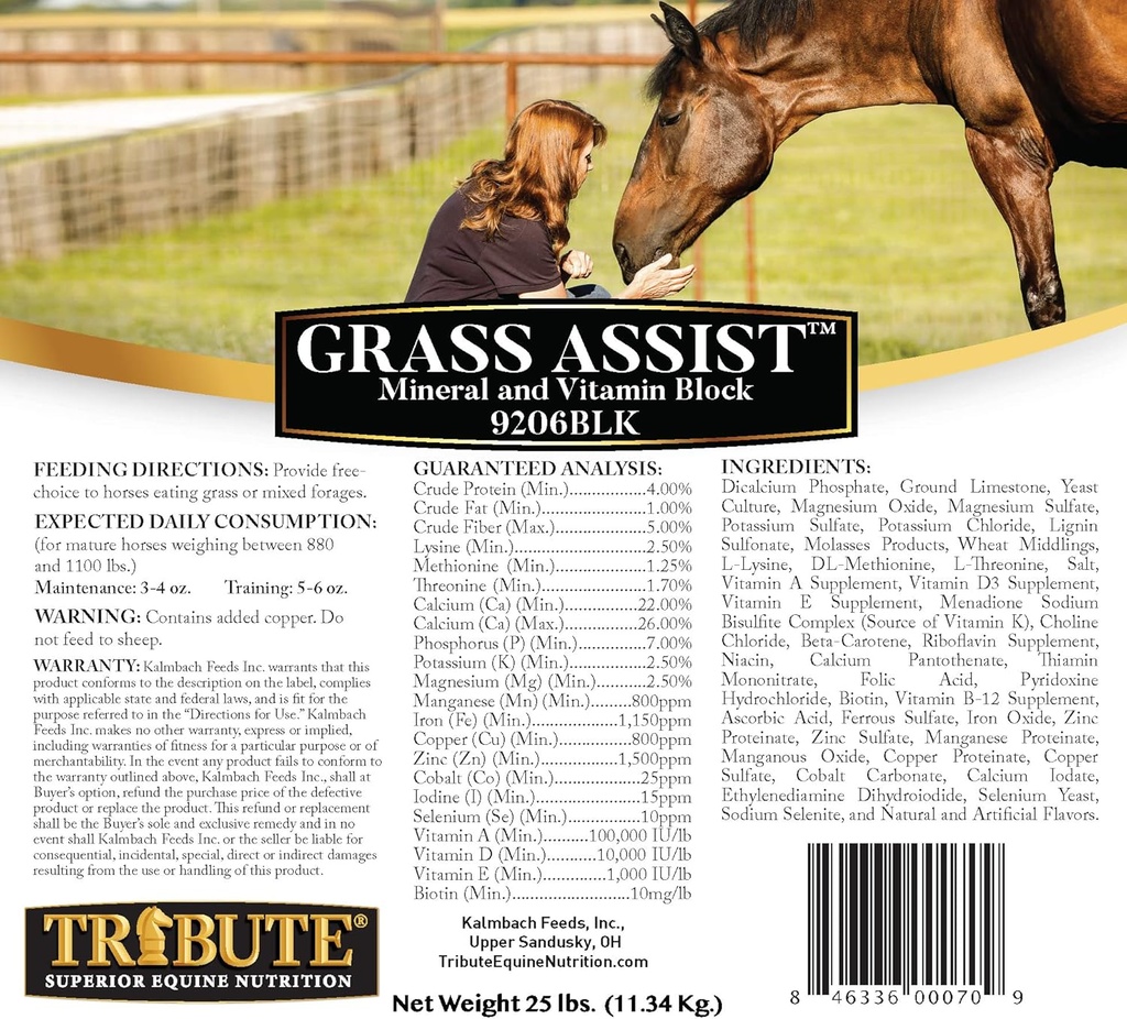 Kalmbach Futter Gras Assist Mineral und Vitamin Block für Pferd, 25 lb