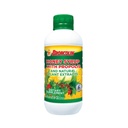 Miele di Broncolin Syrup con Propolis, Syrup con estratti di piante naturali per rinfrescare la gola, ingredienti naturali, sambuco, eucalipto, olio di menta piperita, 11.4 Oz, bottiglia
