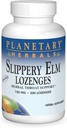 PLANETAR HERBALS Slippery Elm Lozenges, Unflavored, 200 Count