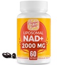 2000 MG NAD Ergänzung, Liposomal NAD+ mit hoher Absorption, Effizient Than Nicotinamid Riboside, Pure & Plus Boosting Supplement, Aging Defense, Metabolism & Cellular, 60 Softgels