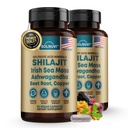 Shilajit Pure Himalayan Capsules organiques avec la mousse de mer d'Irlande, Ashwagandha, cuivre, racine de betterave - Supplément de traces d'acide fulvic pour les hommes et les femmes - 90 Compte, non-OGM, sans gluten