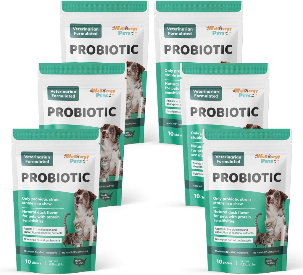 Wellnergy Daily Probiotic & Prebiotics Soft Chew for Dogs & Cats - Verdauungsunterstützung für Durchfall, Verstopfung, Magen, Verdauung & Gas - Hilft Verdauung, Allergie Haut und Immungesundheit 60ct
