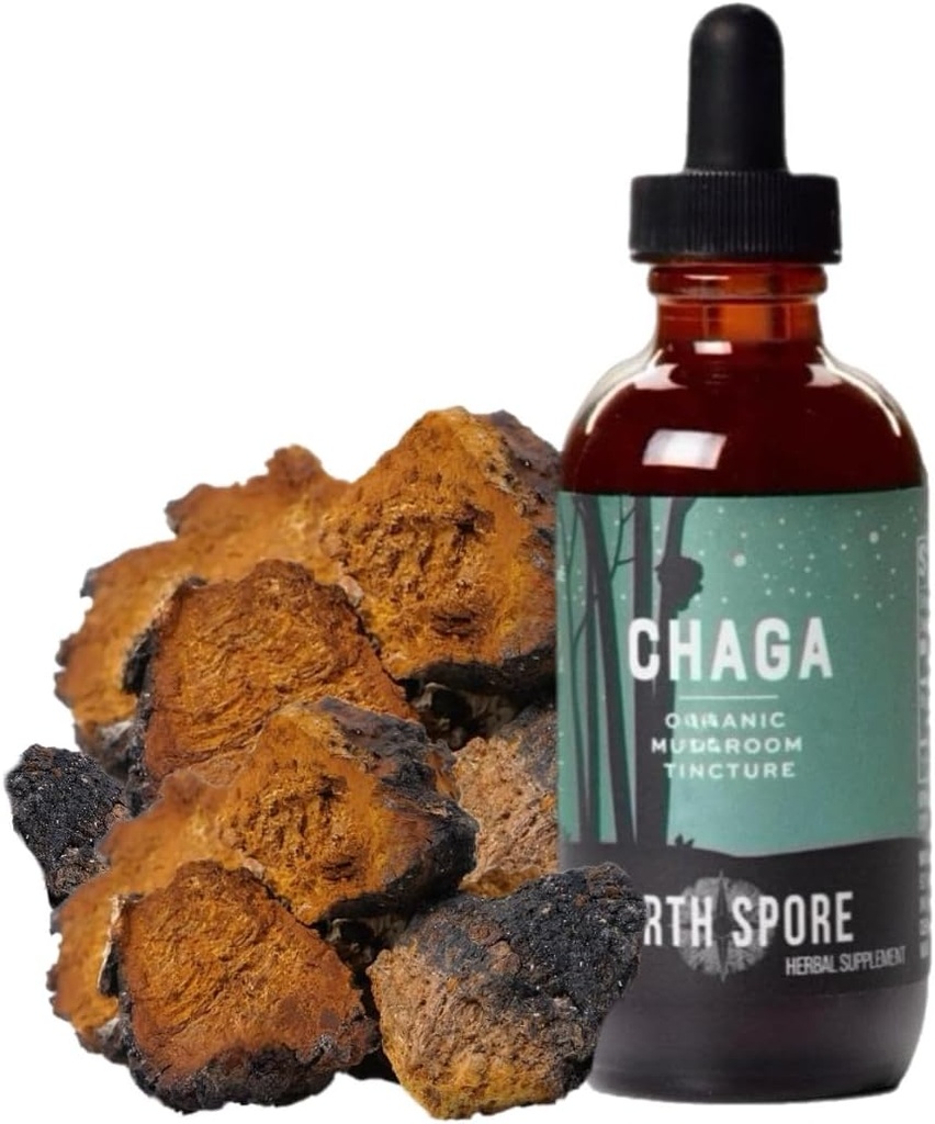 North Spore Chaga Mushroom Tincture | Energy & Wellness Boosting Supplement Tropfen | Adaptogenic Superfood | Dual Extract Organic Blend, 100% Fruchtkörper | Non-GMO, Vegan - 2oz