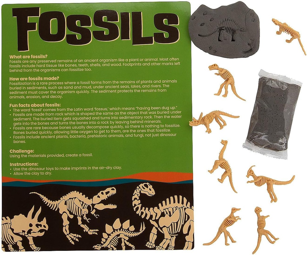 Fun Express Make Your Own Fossil Craft Kit - Fa 12