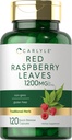 Carlyle Red Raspberry Leaf Capsule | 1200mg | 120 Count | Non OGM e Gluten Formula gratuita | Estratto di erbe tradizionali