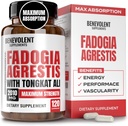 Fadogia Agrestis 1500mg [Pureté la plus élevée] + BioPerine® pour supplément d'absorption élevée avec Tongkat Ali - Augmenter la résistance, la croissance musculaire maigre et la récupération, stimule la 3ème partie testée 120 capsules