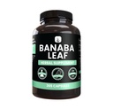 PURE ORIGINAL INGREDIENTS Banaba Blatt Extrakt (365 Kapseln) Kein Magnesium oder Reisfüller, Immer rein, Lab Verifiziert