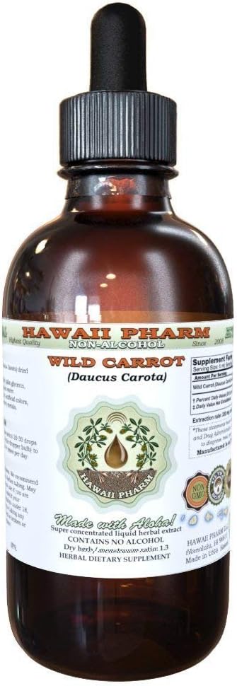 Extrait liquide sans alcool de carotte sauvage, carotte sauvage (Daucus Carota) graines séchées Glycérite supplément à base de plantes 2oz
