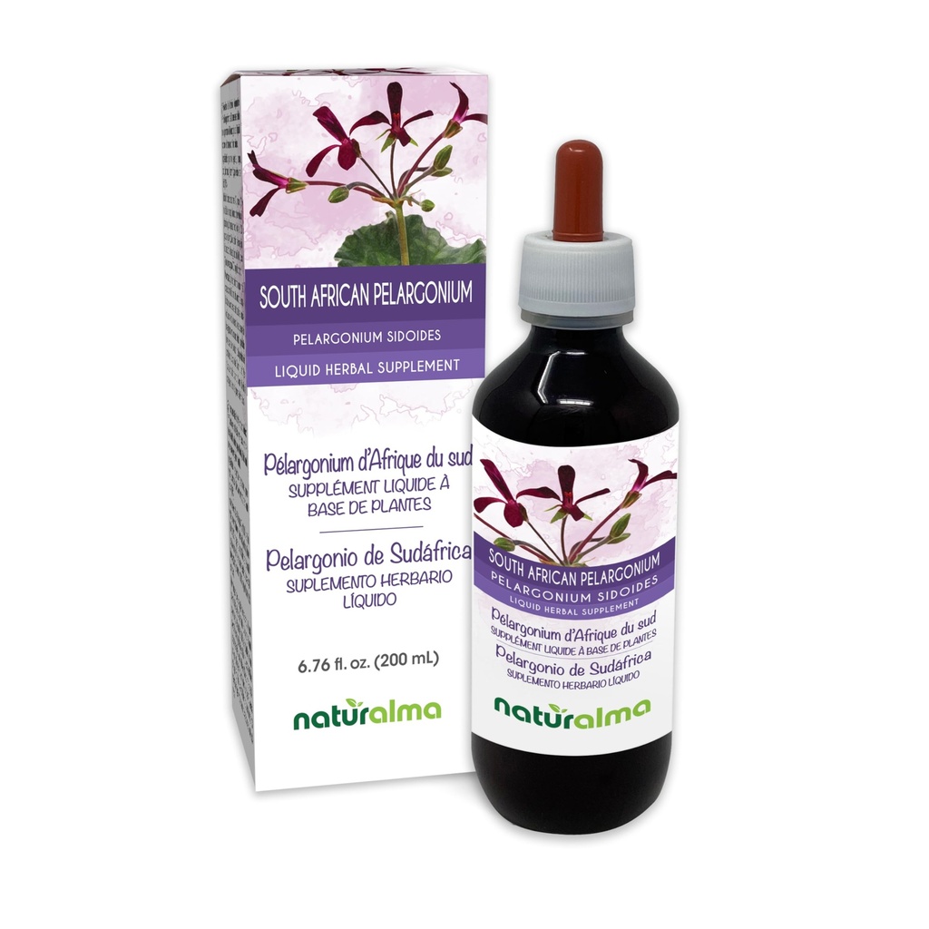 Naturalma Sud Africa Pelargonium o Umckaloaba (Pelargonium sidoides) Root Alcohol-Free Tincture - 6.76 fl oz Liquid Extract in Drops - Herbal Supplement - Vegan
