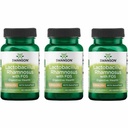 Swanson Lactobacillus Rhamnosus mit FOS - Probiotische Ergänzung unterstützt Verdauungsgesundheit - 5 Billion CFU - fördert GI Tract Health während Reisen - (60 Veggie Caps) 3 Pack