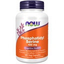 JETZT Nahrungsergänzungsmittel, Phosphatidyl Serine 100 mg mit Phospholipid-Verbindung abgeleitet von Soy Lecithin, 120 Veg Kapseln