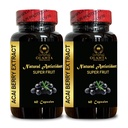 ACAI Berry Extract - acai Berry Supplement Fertility, Açaí Berry (Euterpe oleracea) Pillole, Antiossidante-Rich Organic, Pillole di fibra - 2 bottiglie 120 capsule