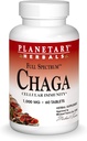 Planetary Kräuter Chaga volles Spektrum, Enhance Cellular Immunität, 60 Tabletten