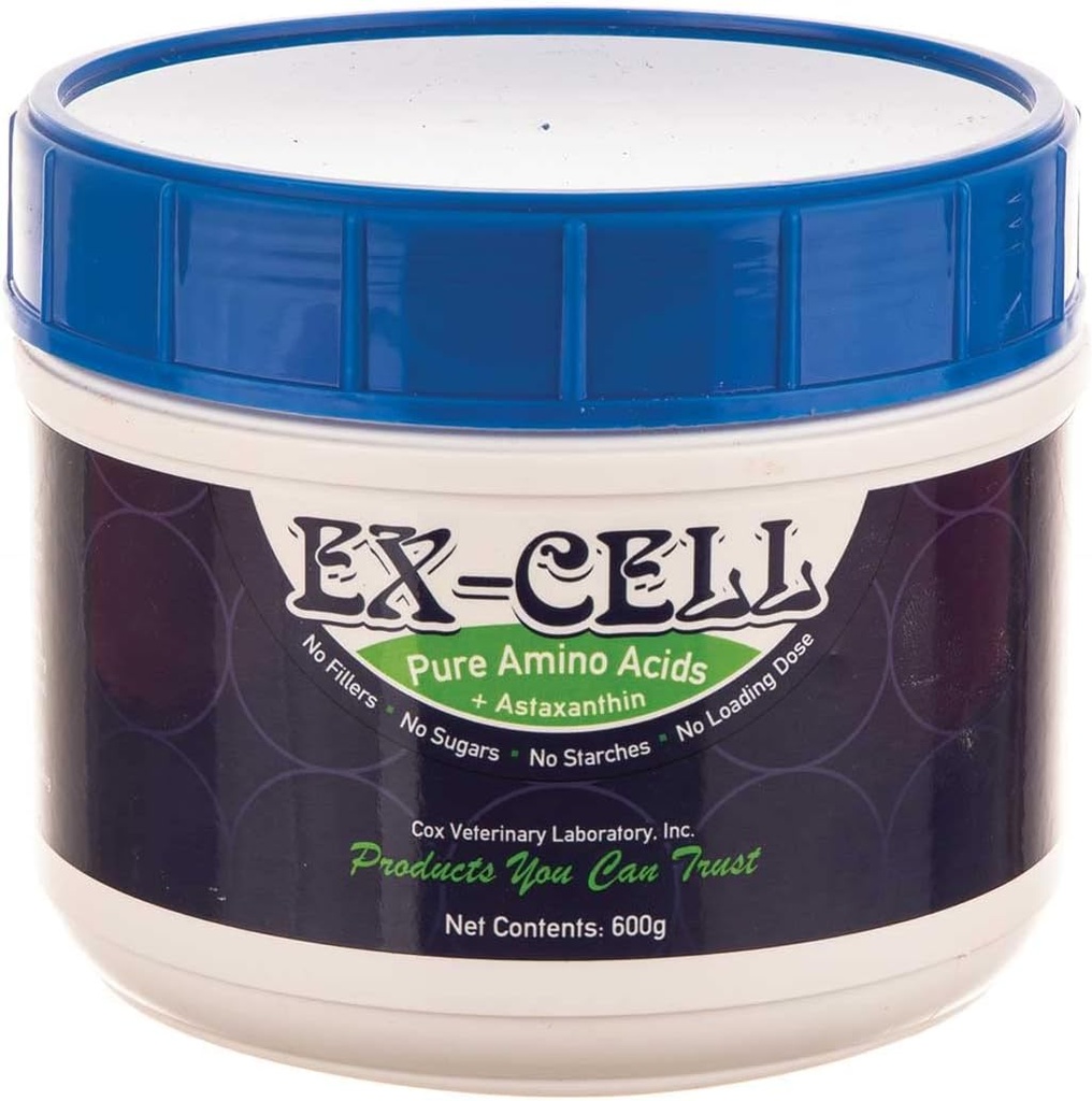 Poudre d'acides aminés purs ex-cellules 600g