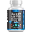 Silicon Sea Moss Black Seed Oil Ashwagandha Bladderwrack Burdock - 60 Conte
