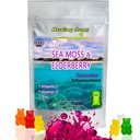 Irish Sea Moss Gummis – Raw Organic Wildcrafted Sun-Dried Seamoss Powder Gel - mit Bladderwrack Burdock Root – Alkaline Keto Vegan Non-GMO Diät – Haut Detox (Elderberry-Mix)