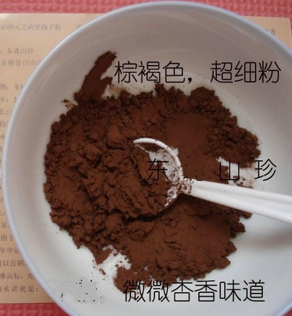 Duan-Wood 98% Shell-Broken LINGZHI Ganoderma Reishi Spore Powder 100Grams (3,5 oz.) Pacchetto vuoto