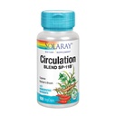 SOLARAY Zirkulation Blend SP-11B | Kräuter und Zellsalz für gesunde Kreislaufsystem Unterstützung | 50 Servierungen | 100 VegCaps