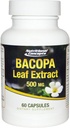 Bacopa Blatt Extrakt - 500 mg - 60 Kapseln