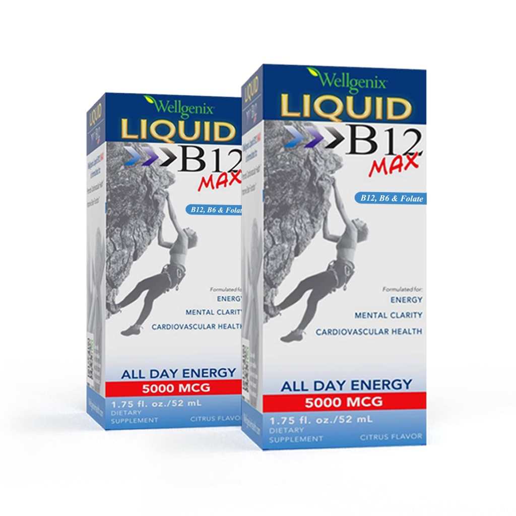 Wellgenix B12 Max Liquid - Vitamin B6, B12 & Folate-High Absorption - Herz-Kreislauf-Gesundheit, Mental Clarity, Energy Boost & Weight Loss - 1.75oz, 2 Pack