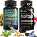 Boysea. Shilajit und Sea Moss Bundle- 90 Count - Sea Moss, Black Seed Oil, Ashwagandha, Ginger & Shilajit, Rhodiola Rosea, Alle in 1 Ergänzungen (1 Pc)