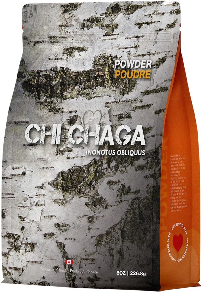 Polvere di funghi di Chaga Organico Premium - 8 oz di autentico 100% Wild Harvested tè di Chaga canadese