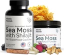 Atlantic Naturals Sea Moss Superfood Bundle - Sea Moss mit Shilajit 5-in-1 Kapseln & Sea Moss Pulver mit Ashwagandha, Beet Root & Maca Root - Enhanced Vitality, Skin & Athletic Support 60 ct & 150g