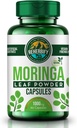 Estratto di caffè verde da ReHerbify | 1000mg, 60 capsule | Organic Moringa Oleifera Leaf Powder Supplement for Immunity and Wellness