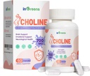 Pränatale Choline-Ergänzung, 500mg, mit Inositol, B1, B6, Gehirnentwicklung in Utero/Early Life, erhöhen Sie die Choline-Inhalt in Brustmilch, 30 Tage Versorgung