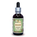 Ashwagandha (Withania Somnifera) Glycérite, extrait liquide sans alcool séché biologique 2 oz