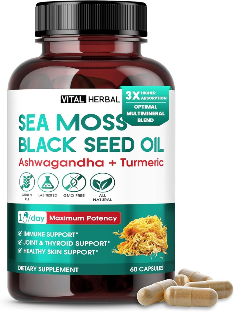 Sea Moss mit schwarzem Samenöl, Ashwagandha, Turmeric & Moringa – Immune, Joint & Skin Support Supplement – 60 Kapseln – Vital Herbal – Lab-Tested, Non-GMO, Made in USA