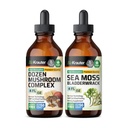 BIO KRAUTER Dutzend Pilz Tinktur 4 Fl. Oz. & Sea Moss Tinktur 4 Fl. Oz.