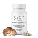 Groh Daily Vitality Boost - Tutto Natural Hair Growth Supplement alimentato da ErgoD2 - Ricco in Antiossidanti - Vitamine per capelli più forti, pelle e chiodi - La scelta migliore per capelli spessi - 60 Conte