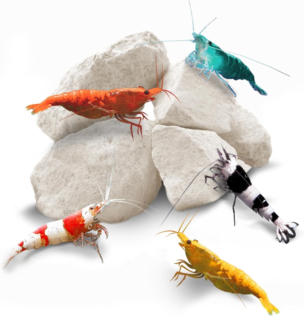 SunGrow Shrimp Rocks, Calcium, Magnesium Rocks for Crayfish, Hermit Crab, Snails, Crustacean Care, Acquario Decor per Cristallo Rosso, Amano e Ghost Shrimps, Nano Tank Accessories, Fish Tank Supplies