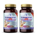 Solgar Kangavites, Bouncin, Berry Flavor - 120 comprimés à croquer, pack de 2 - Multivitamine complète et formule minérale pour les enfants - Vegan, sans gluten