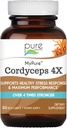 PURE ESSENCE LABS MyPure Cordyceps 4X Mushrooms - Concentrated Cordyceps Mushroom Powder Supplements for Immune System, Stress Response, Physical & Mental Performance - 1 mese di fornitura