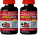 Antioxidans Komplex Ergänzung - ANTIOXIDANT MEGA COMPLEX 1440 MG - Mangosteen Extrakt, Antioxidans Nahrungsergänzungsmittel, Cranberry Granatapfel Mangosteen, Entgiftung und Reinigung 2 Flaschen 120 Kapseln