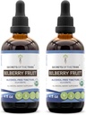 Segreti della Tribe Bilberry Fruit Alcohol-Free Liquid Extract, USDA Organic Bilberry (Vaccinium Myrtillus) Dried Fruit Tincture Supplement (2x4 FL OZ)