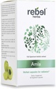 Rebel Kräuter Amla Kapseln (Amalaki) - Immununterstützung, Vegan, Glutenfrei, Ayurveda, Antioxidans, Certified Organic Amla