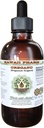Oregano Alcohol-Free Liquid Extract, Organic Oregano (Origanum vulgare) Getrocknete Blatt Glycerite natürliche Kräuterergänzung, Hawaii Pharm, USA 4 fl.oz