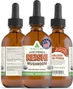 RawGuru Organic Reishi Mushroom Tincture - Estratto di funghi Reishi con minerali naturali - Nano-Processed Cognitive & Immune Support Supplement - 60 Serve di gocce vegane per 60 ml, Confezione da 1
