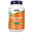 JETZT Nahrungsergänzungsmittel, Cinnamon Bark 600 mg, Non-GMO-Projekt Verified, Gesunde Glucose Metabolism*, 240 Veg Kapseln