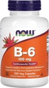 JETZT Lebensmittel B-6, 100 mg, 250 Veg Kapseln