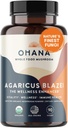 Aloha Medicinals Pure Agaricus Blazei 500 mg 90 Vegetarische Kapseln Certified Organic
