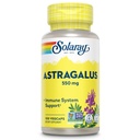 SOLARAY Astragalus Root 550mg | Gesunde Immunfunktion & Stress Support | Adaptogen Herb | Non-GMO & Vegan | 100 VegCaps