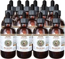 HawaiiPharm Olive (Olea europaea) Feuille séchée biologique vétérinaire extrait liquide sans alcool naturel, supplément à base de plantes pour animaux de compagnie 15x4 oz