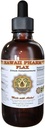 Flax Liquid Extract, Bio Flax (Linum usitatissimum) Tinktur Supplement 4 oz