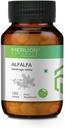 Sheltr Alfalfa compresse, Medicago Sativa, Tutte naturali, erbe pure 500mg x 120 compresse